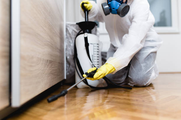 Pest Control for Restaurants in Belwood, NC