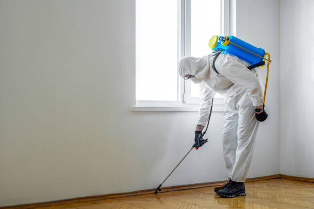 Best Best Pest Control Companies  in Belwood, NC