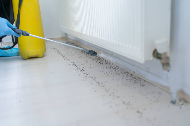 Pest Control Cost in Belwood, NC