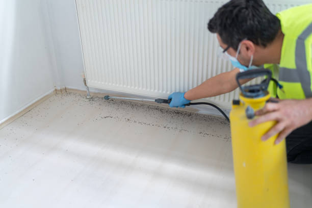 Best Pest Prevention Services  in Belwood, NC