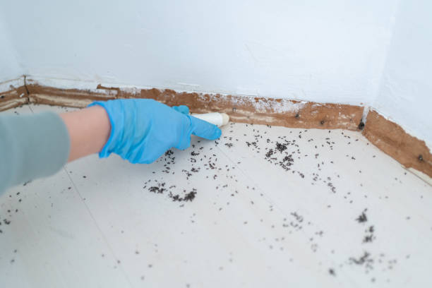 Best Wildlife Control Services  in Belwood, NC