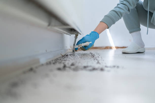 Best Cockroach Control Services  in Belwood, NC