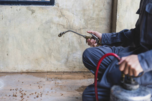 Best Pest Removal Services  in Belwood, NC